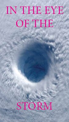 in the eye of the storm 603.jpg