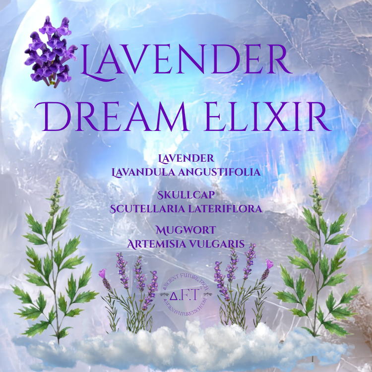 Lavender Dream Elixir