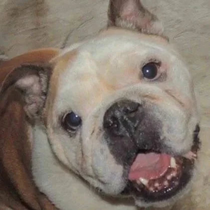 From Gratitude to Attitude