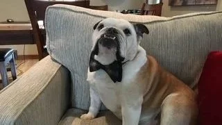 From Gratitude to Attitude