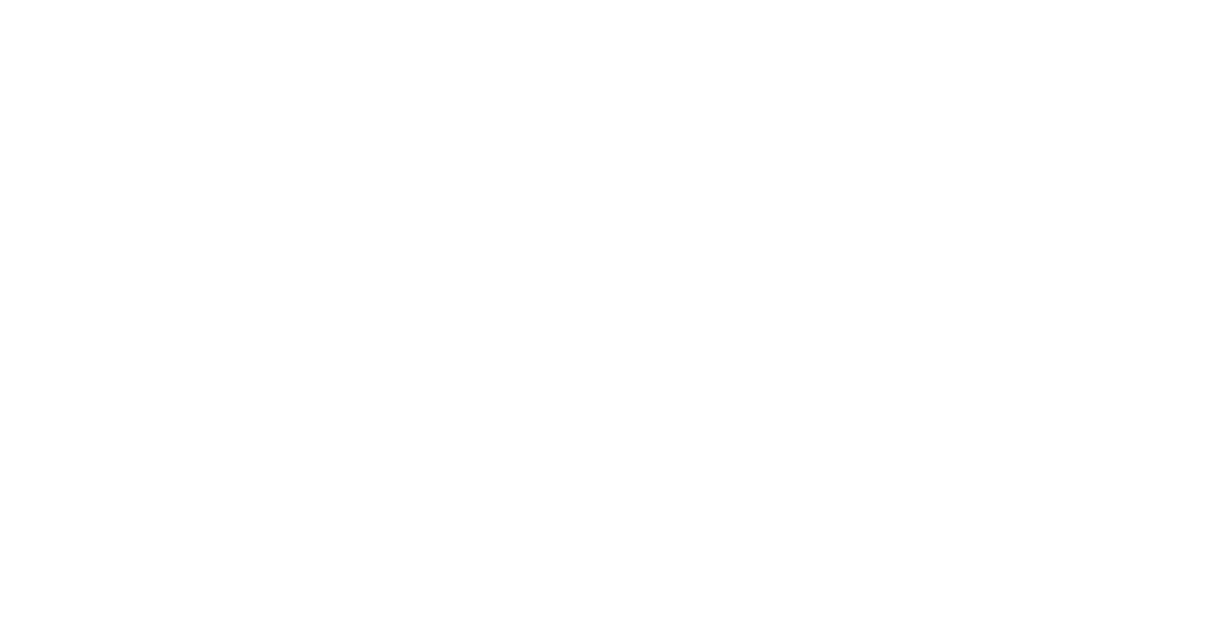 Copy of votemamapac_logo_white.png