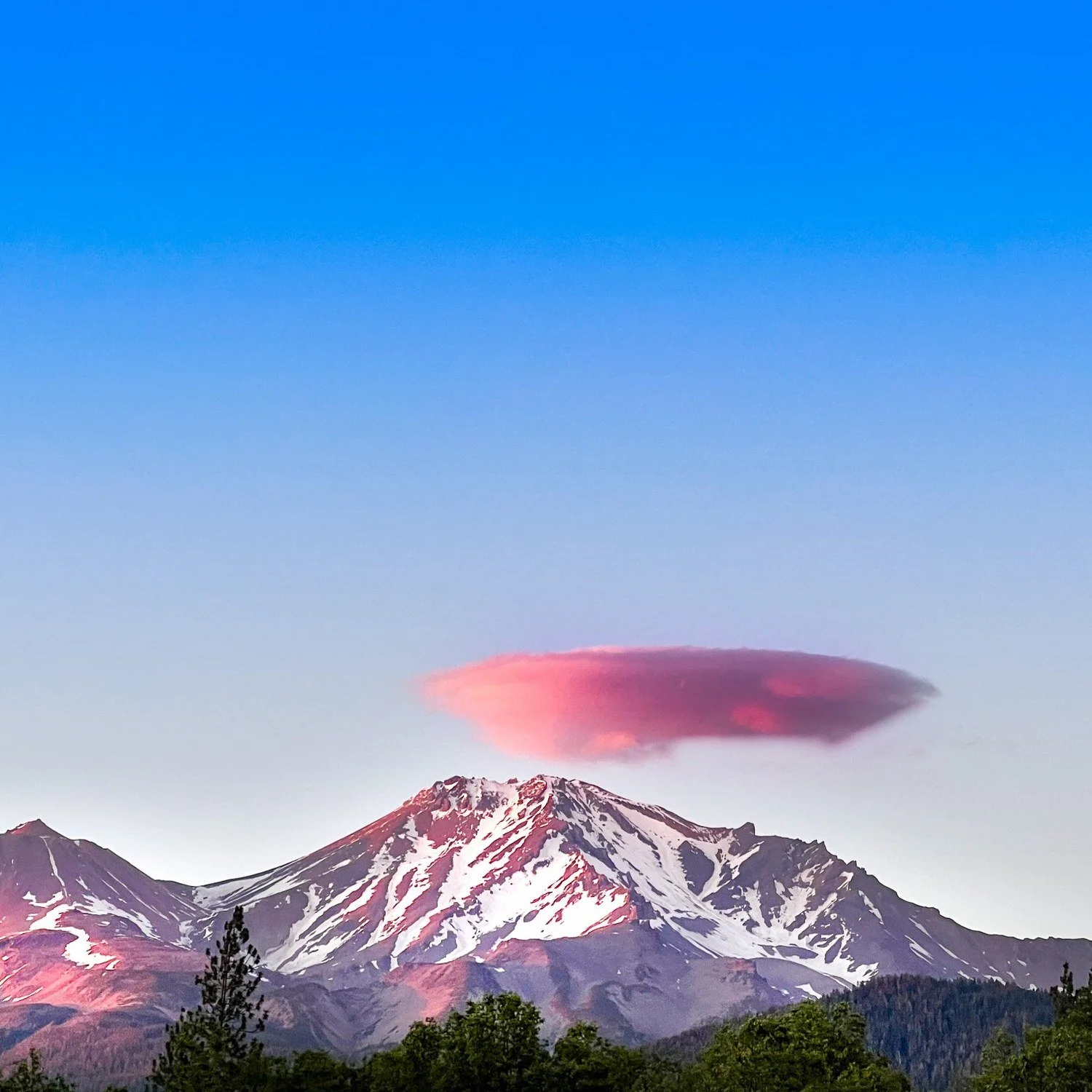 Pink lenticular cloud over Mount Shasta