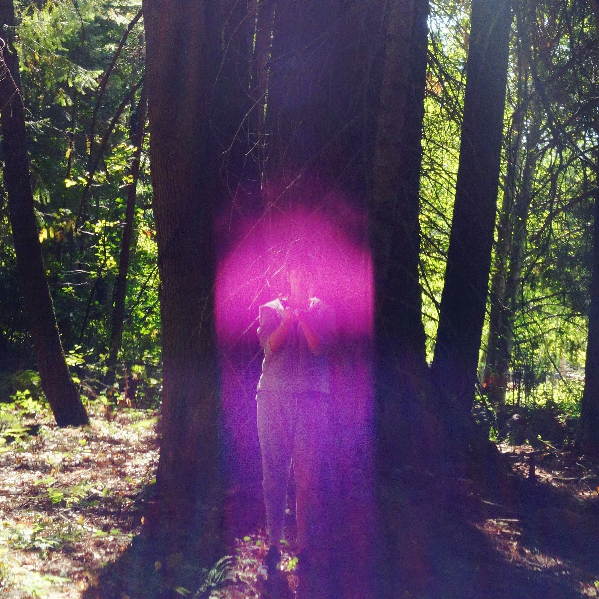 The Violet Flame of Saint Germain on Mount Shasta, photographed by Paul of Venus