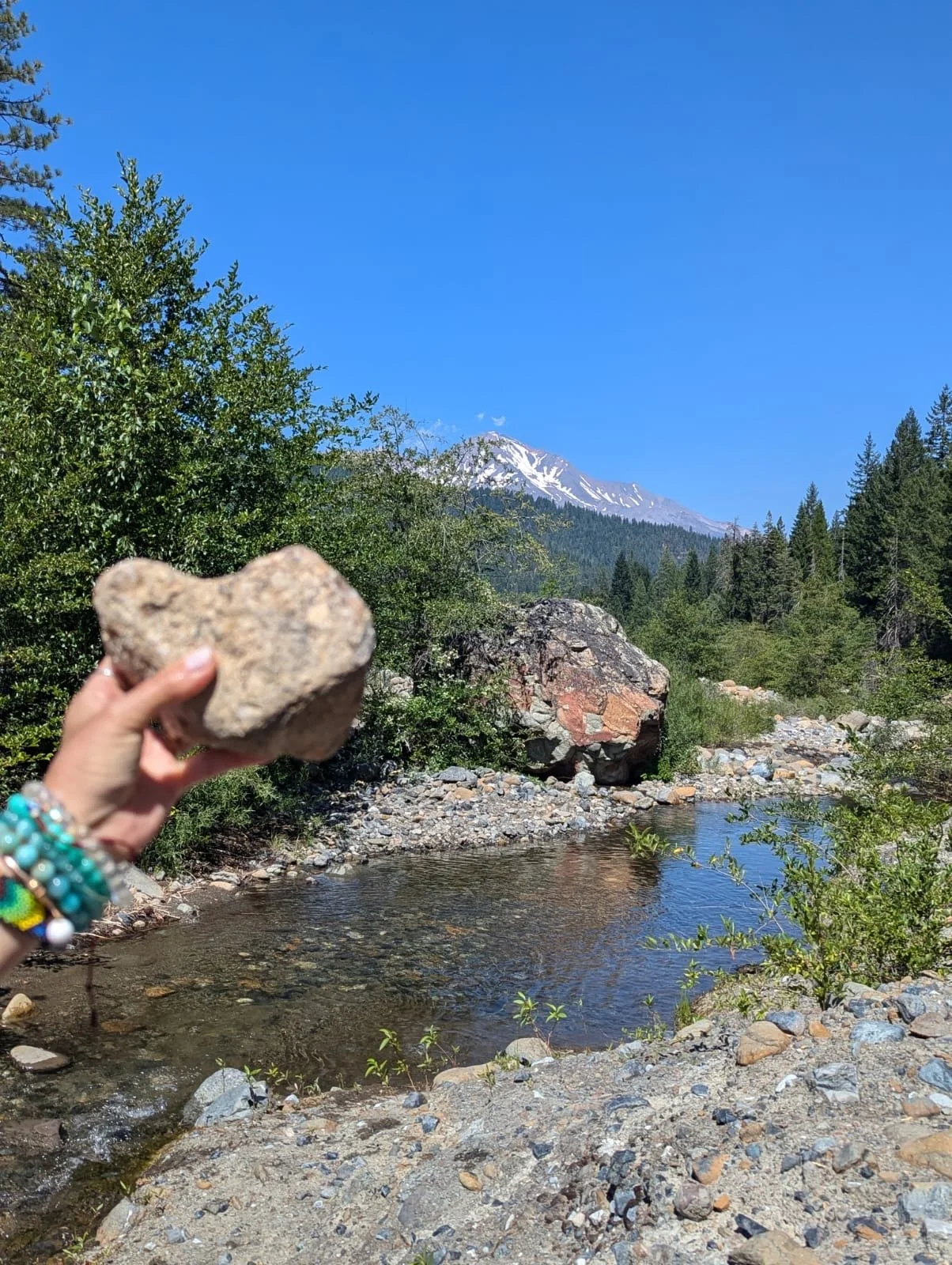 Person holding a large rock over a river with trees and a snow-capped mountain in the background under a clear blue sky.