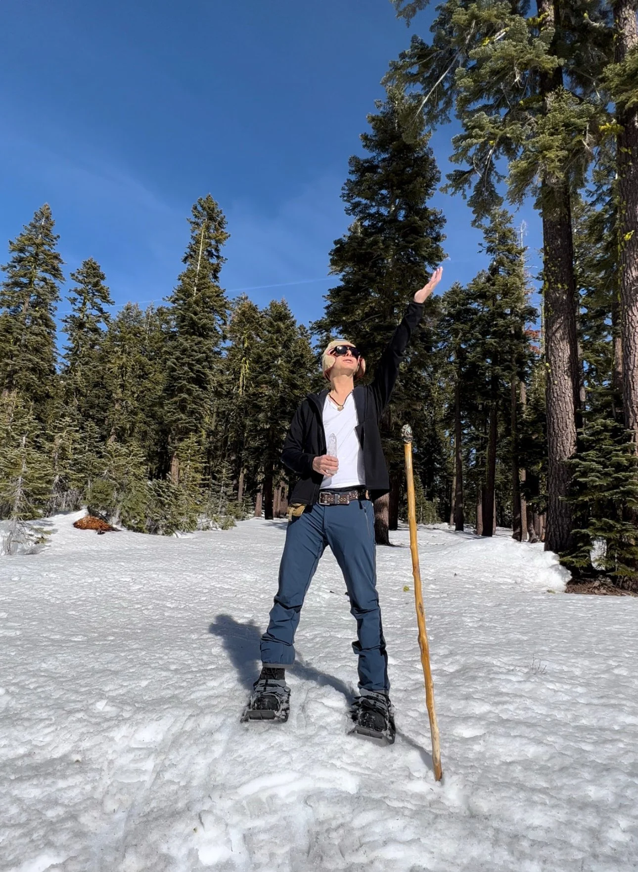 Paul of Venus, Mt Shasta Spiritual Guide