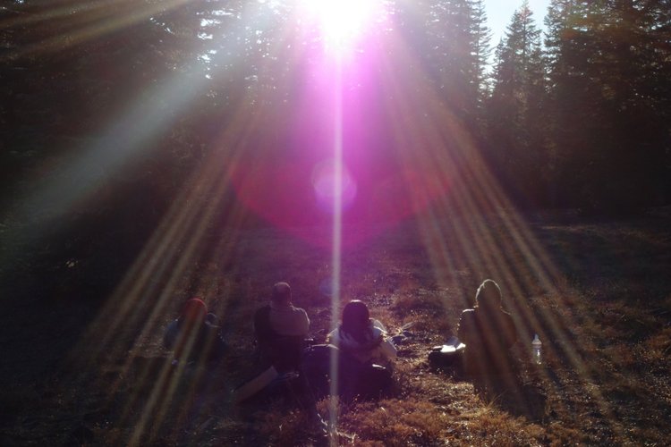 Violet light in the Mount Shasta forest