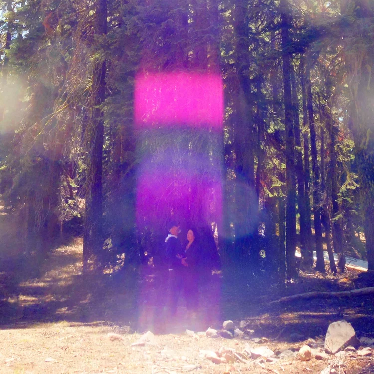 Column of light in the forest