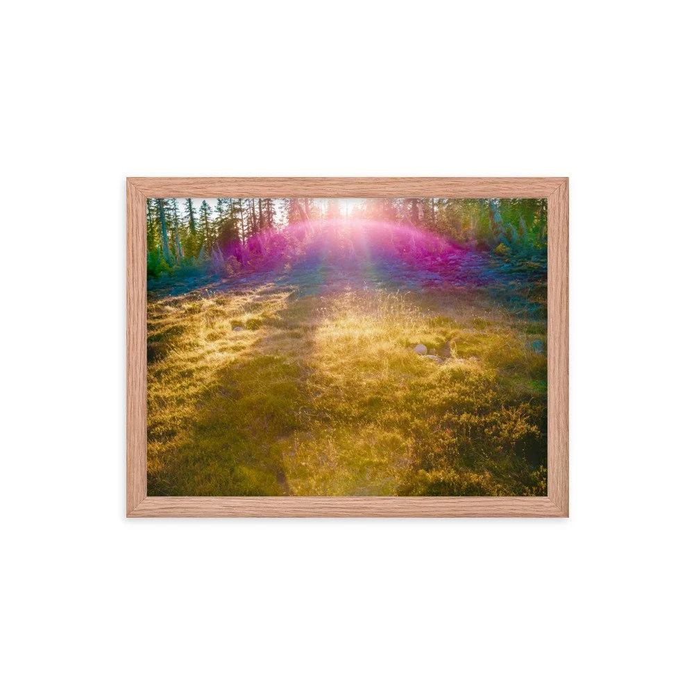 premium-luster-photo-paper-framed-poster-(in)-red-oak-12x16-transparent-637d21087d64f.jpg