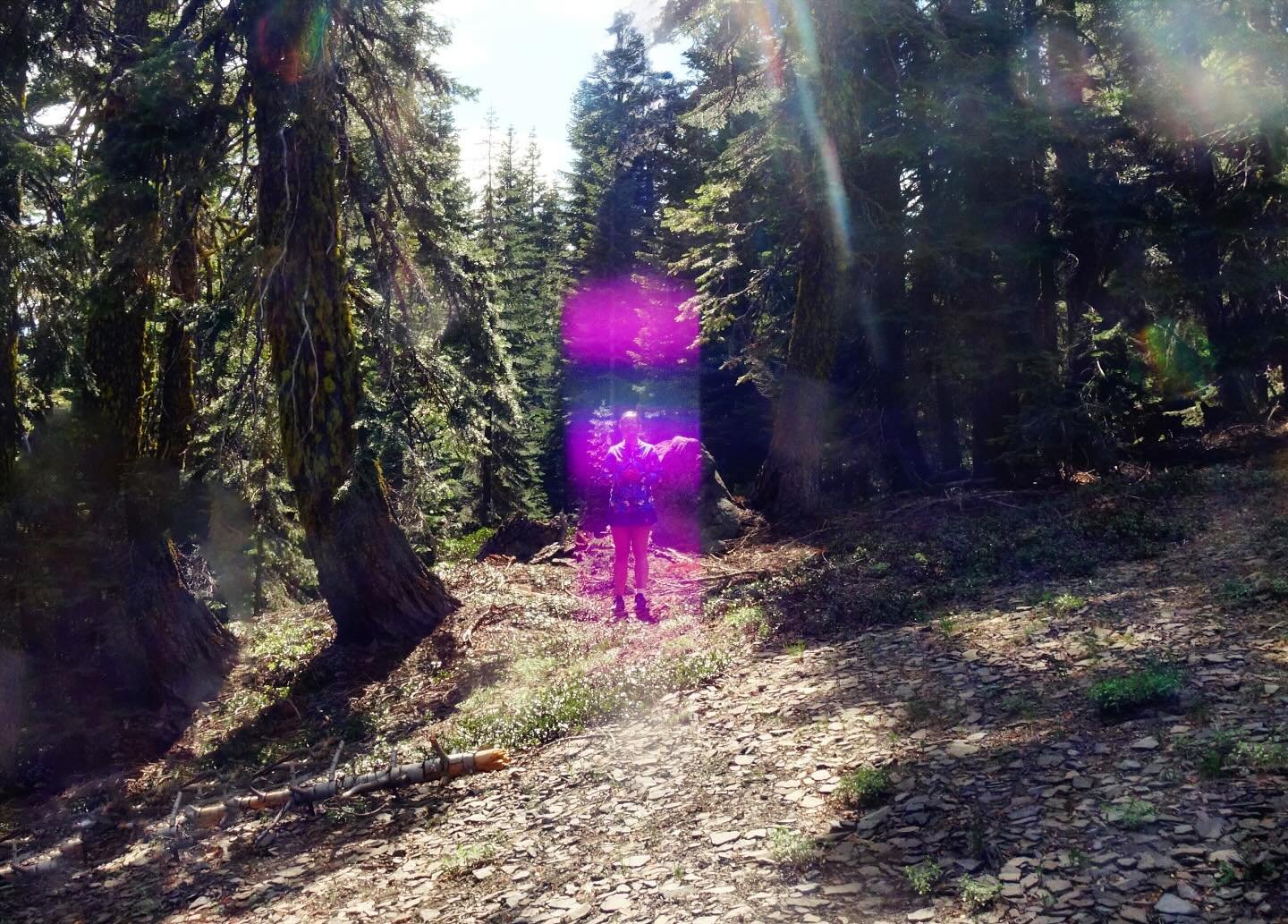 The Violet Ray on Mt Shasta 

At certain points within the sacred forests of Mount Shasta &mdash; it emanates. You can feel it&hellip; a living current of transformation and forgiveness.

Saint Germain stood with me and whispered across the starlight