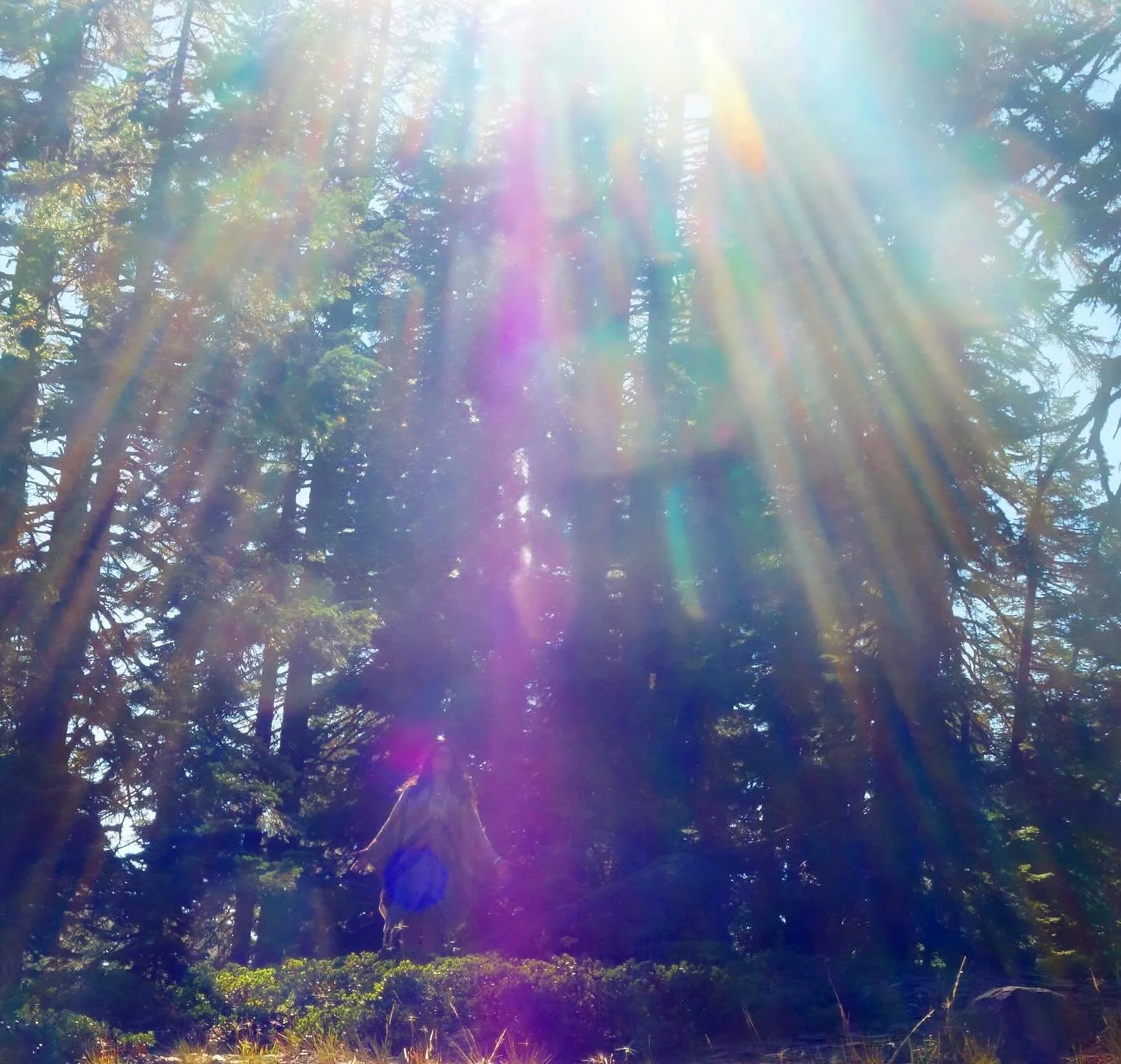 We have so much support from the Realms of truth. So much love in between everything 3D 
Is eternity 
Open 

💜

Paul of Venus 

#MtShastaSpiritualTours

#MtShastaRetreat

#MtShastaGuide

#MtShastaVortex

#SpiritualRetreatMtShasta

#MtShastaTourGuide