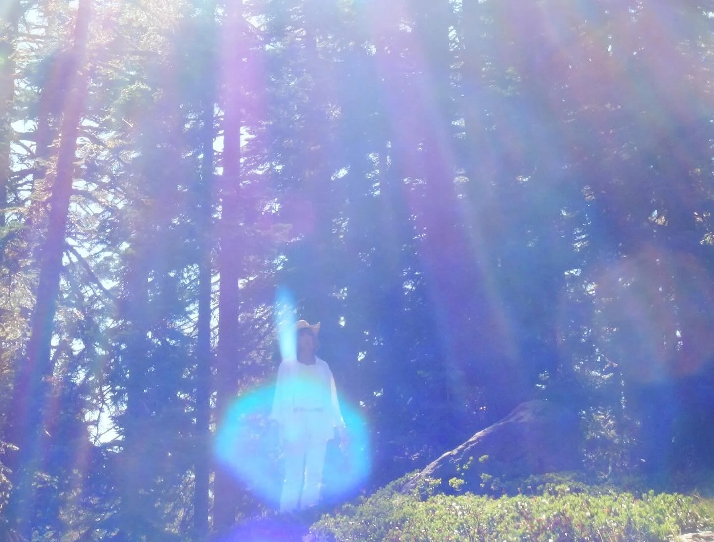Venusian Aqua Ray of Healing ~ 

God technology 

🩵

Paul of Venus 

- #MtShastaSpiritualTours 
- #PaulOfVenus 
- #VenusianRetreat 
- #EnterThe5thDimension
- #MtShasta
- #MountShasta
- #ShastaVortex
- #NorthernCalifornia
- #SiskiyouCounty

- #Spirit