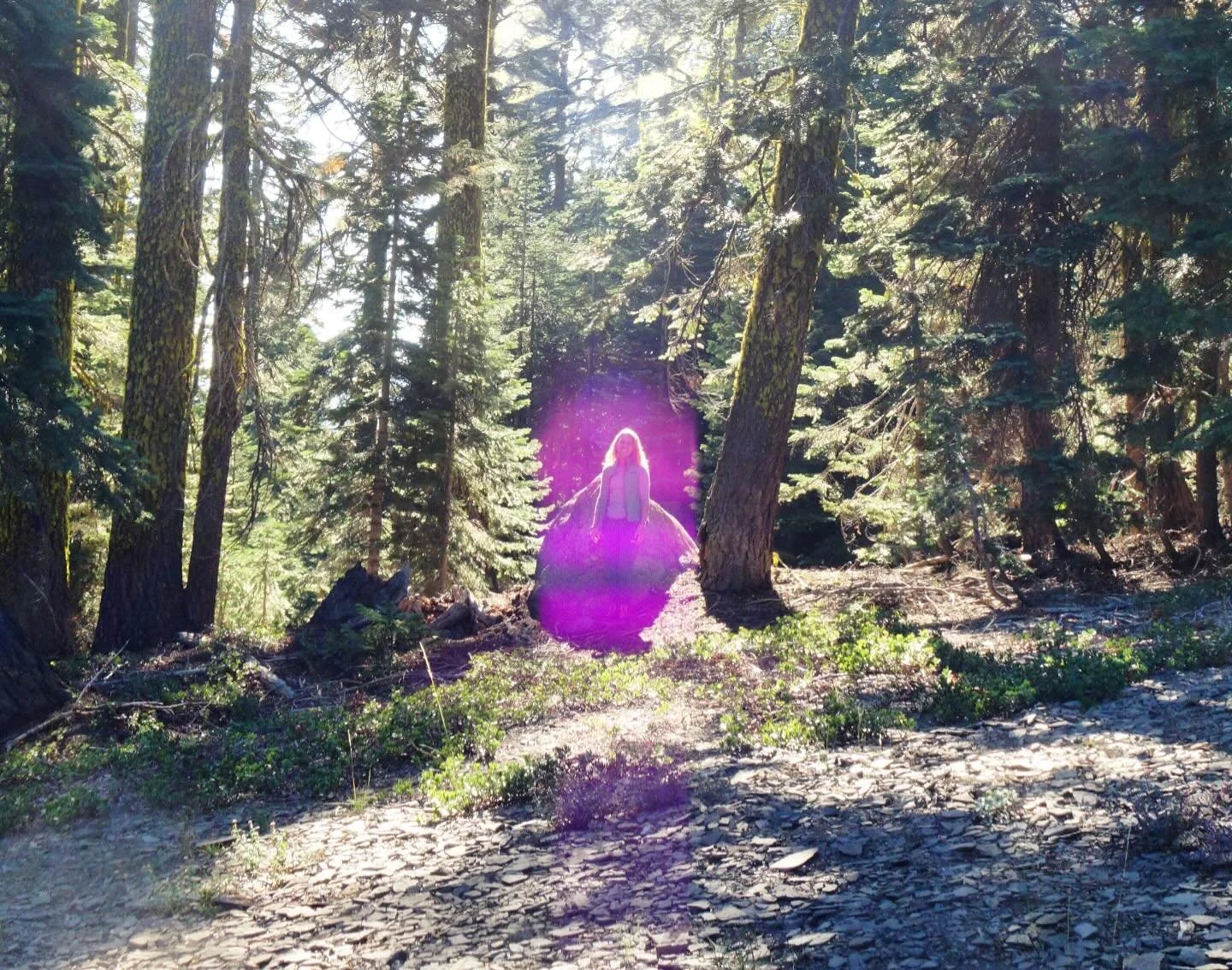 The Violet Ray of Ascended Master Saint Germain on Mt Shasta 

💜

Paul of Venus 

#MtShastaSpiritualTours

#MtShastaRetreat

#MtShastaGuide

#MtShastaVortex

#SpiritualRetreatMtShasta

#MtShastaTourGuide

#MtShastaHealing

#MountShastaActivation

#M