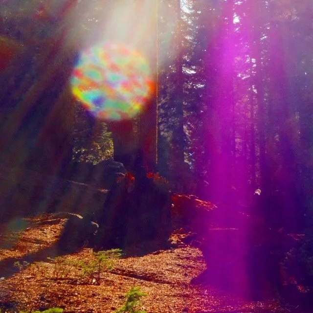 I call you into the spiral of cosmic Rays &mdash;

 Saint Germain&rsquo;s Freedom of the Heart Retreat

May 29-31, 2026 &bull; Mount Shasta, California ￼

Across three days (10 AM &ndash; 4 PM daily), beneath the Wesak Full Moon&rsquo;s blessing,
you