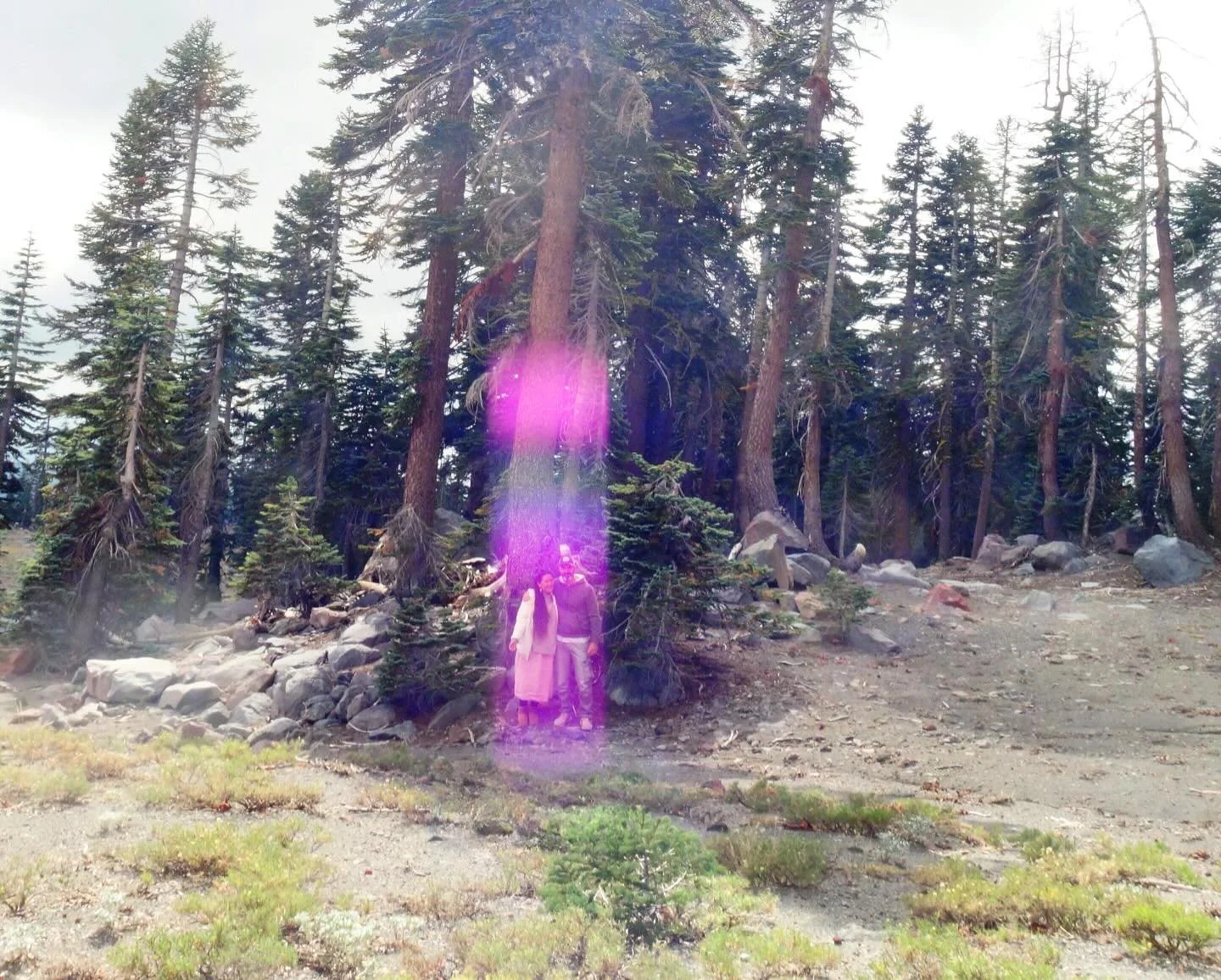 Inter dimensional travel 

💜

Paul of Venus 

#MtShastaSpiritualTours

#MtShastaRetreat

#MtShastaGuide

#MtShastaVortex

#SpiritualRetreatMtShasta

#MtShastaTourGuide

#MtShastaHealing

#MountShastaActivation

#MtShastaExperience

#MtShastaMeditati