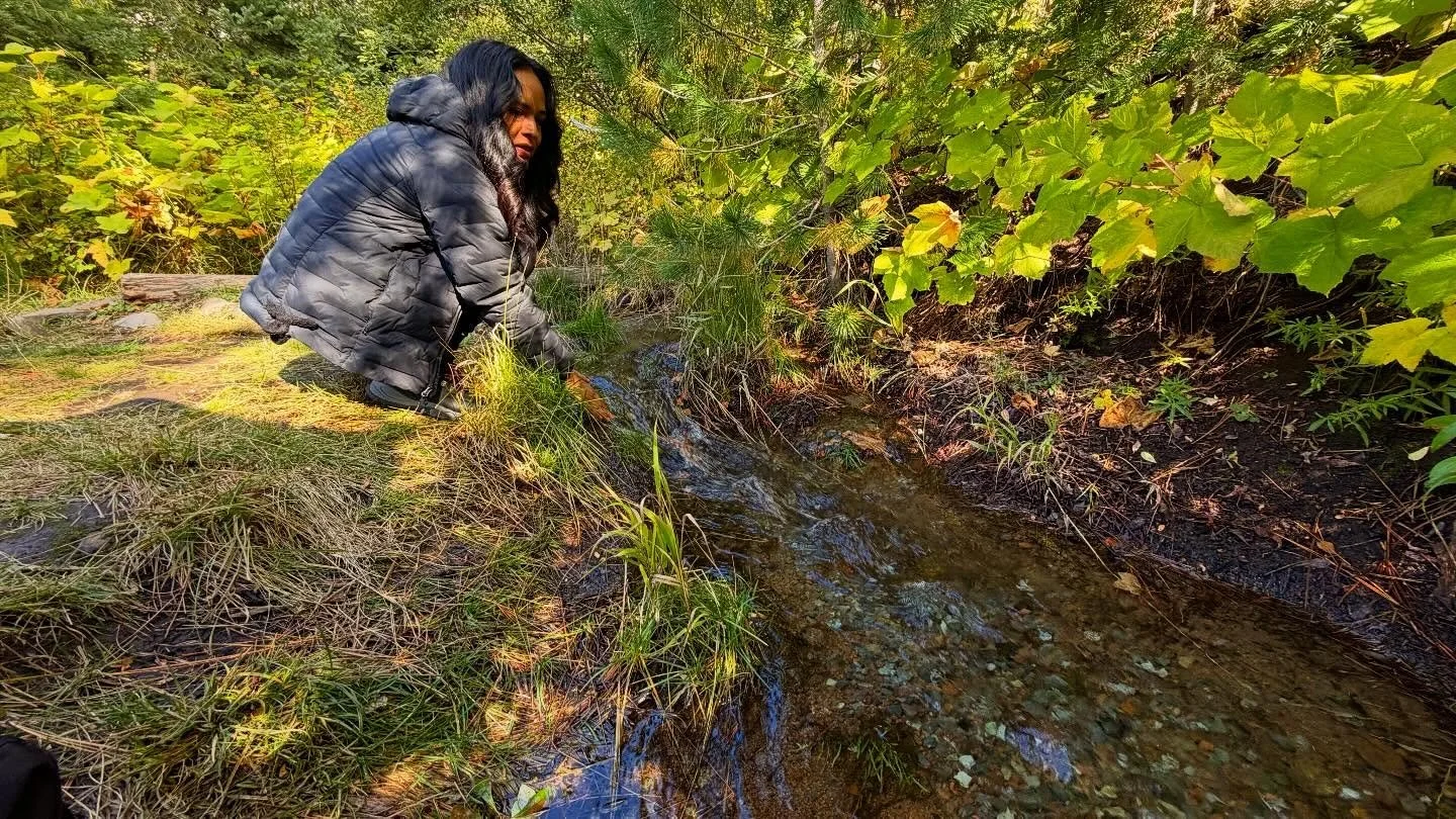 Where is the source in you 

💜

Paul of Venus 

#MtShastaSpiritualTours

#MtShastaRetreat

#MtShastaGuide

#MtShastaVortex

#SpiritualRetreatMtShasta

#MtShastaTourGuide

#MtShastaHealing

#MountShastaActivation

#MtShastaExperience

#MtShastaMedita