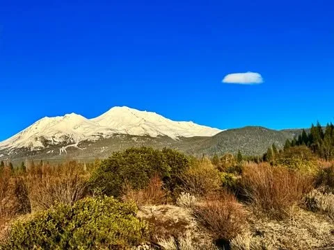 Mount Shasta Tours: Enjoy Scenic Adventures and Local Insights