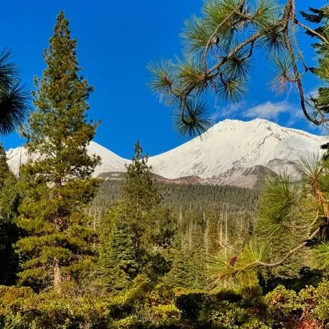 Mt. Shasta Tour Guide: Tips for an Unforgettable Adventure