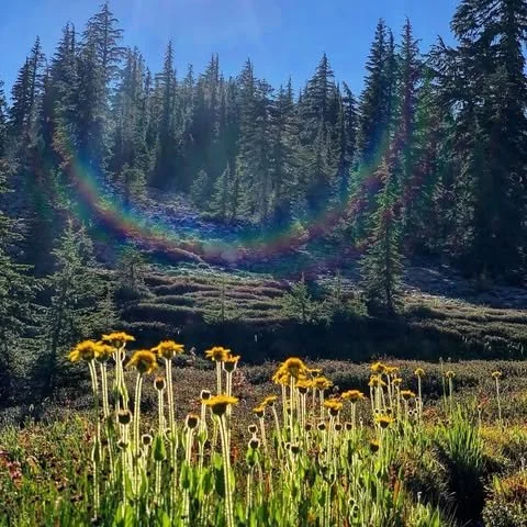 Mt. Shasta Ascension Retreat: A Guide to Spiritual Awakening