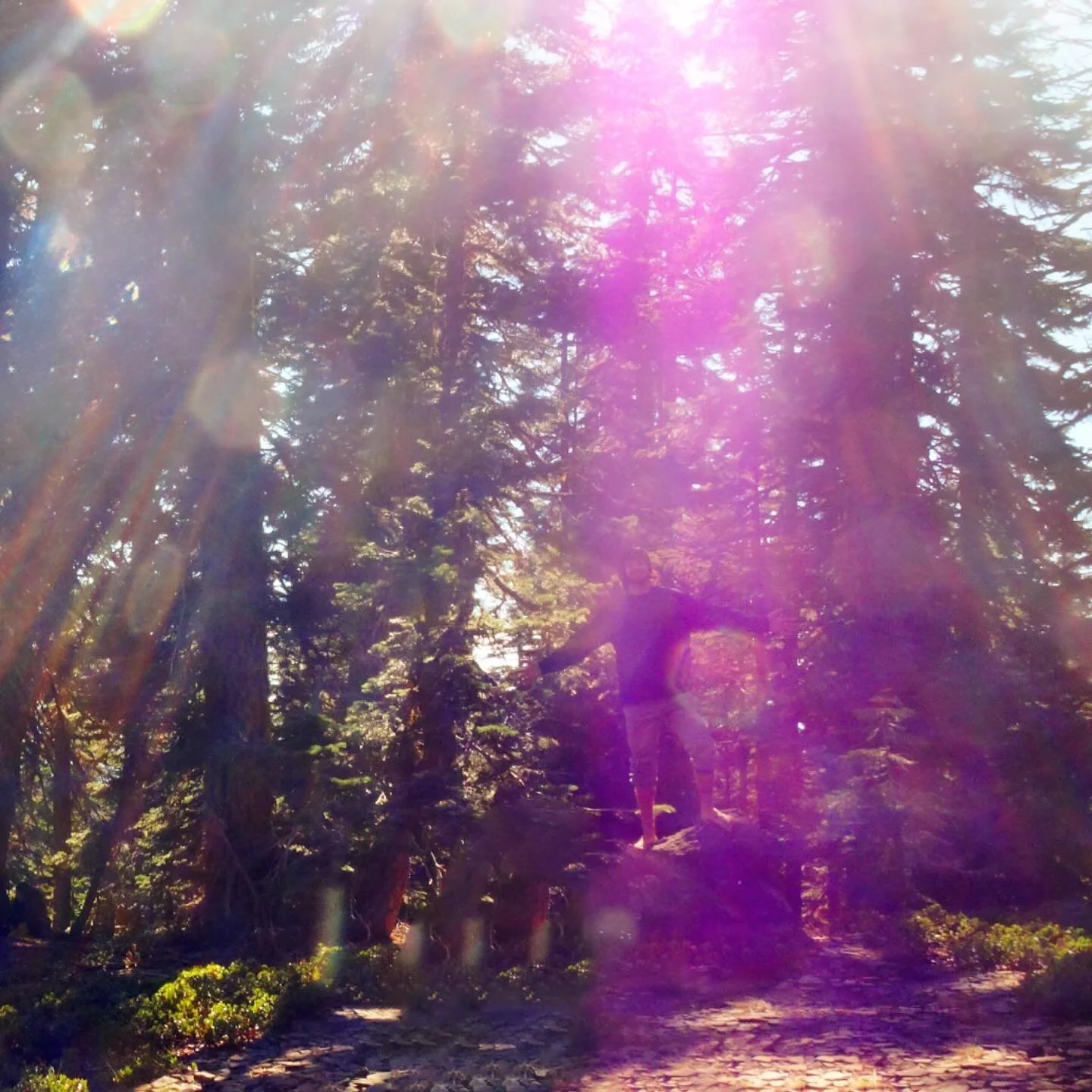 In the middle of a dream 
Reality opens 

💜

Paul of Venus 

#MtShastaSpiritualTours

#MtShastaRetreat

#MtShastaGuide

#MtShastaVortex

#SpiritualRetreatMtShasta

#MtShastaTourGuide

#MtShastaHealing

#MountShastaActivation

#MtShastaExperience

#M