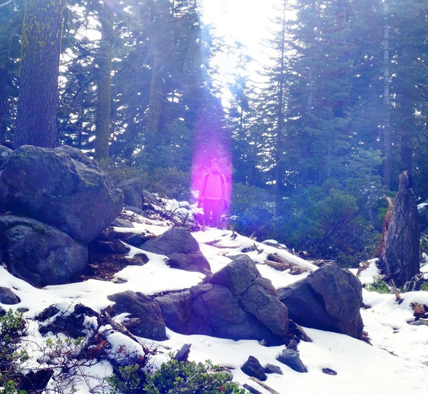 144 unite 

🩷

Paul of Venus 

#MtShastaSpiritualTours

#MtShastaRetreat

#MtShastaGuide

MtShastaVortex

SpiritualRetreatMtShasta

MtShastaTourGuide

MtShastaHealing

MountShastaActivation

MtShastaExperience

MtShastaMeditation