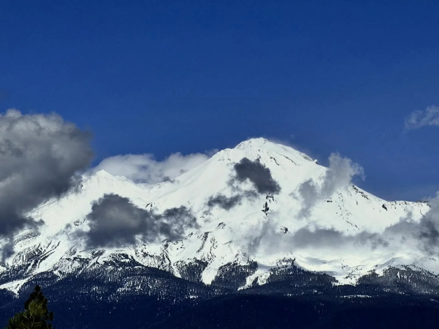 Today, the silence of the Heart expands to hold us all.
In the Heart of Yeshua&mdash;Ascended Master Yeshua&mdash;and all Masters that are a part of His field, I send peace to each and every one of you.
Peace within the Heart.
May you answer today th