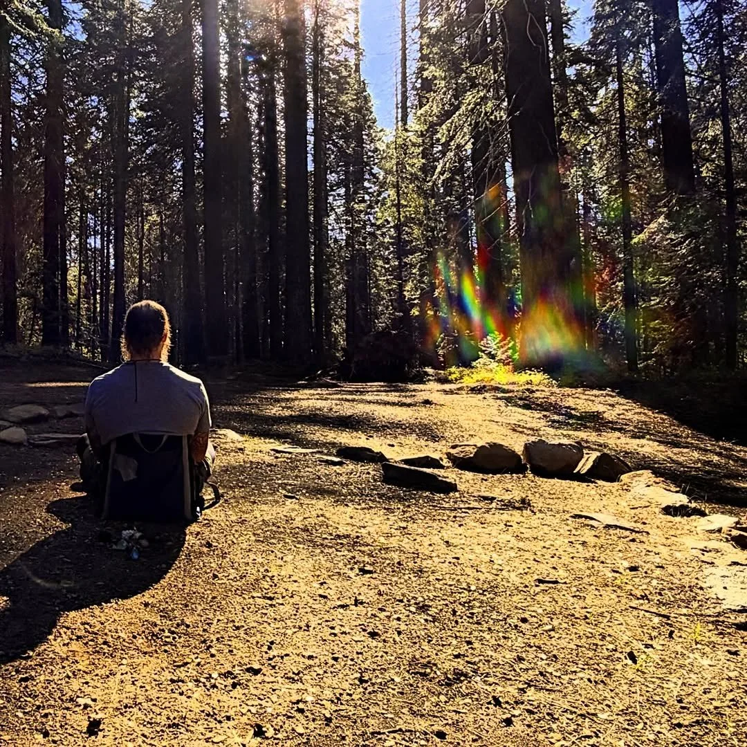 Meditation Retreats for Deep Relaxation and Inner Renewal