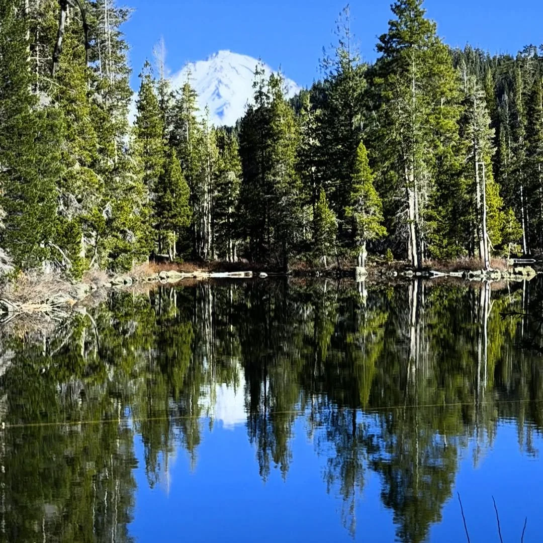 Mount Shasta Spiritual Tours — Awakening &amp; Healing Journeys