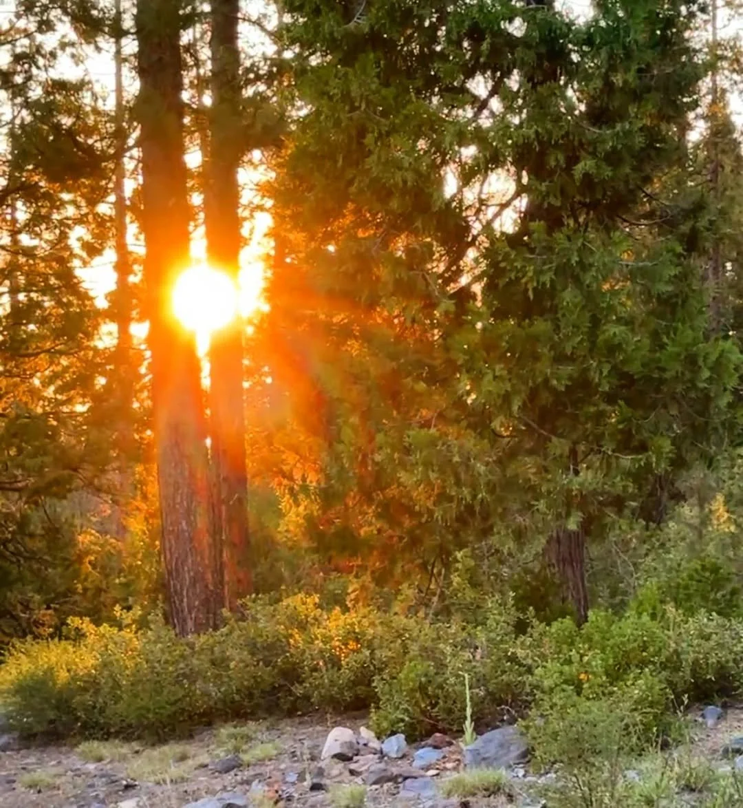 Mt Shasta Tours — Your Adventure Guide for Nature Lovers