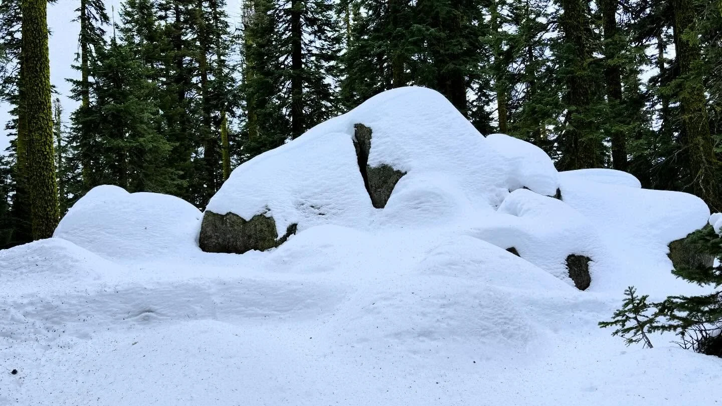 Blessings to all from Mt Shasta | the Ascended Masters | we enter together into this time of transformation on Earth | 

Enjoy each present
 each second on Earth 
so precious 
Temporary spaces of 
Eternity 

Sending love from Mt Shasta 

💜

Paul of 