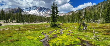 Energy Transmission Activations: Pathways to Higher Vibration and Spiritual Growth