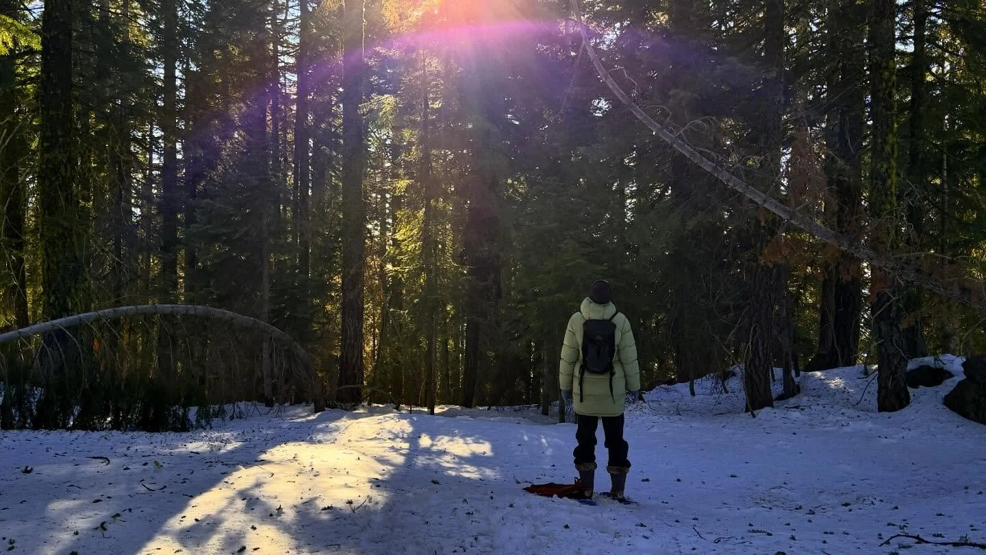 In eternal fields on Mt Shasta 

💜

Paul of Venus 

#MtShastaSpiritualTours

#MtShastaRetreat

#MtShastaGuide

#MtShastaVortex

#SpiritualRetreatMtShasta

MtShastaTourGuide

MtShastaHealing

MountShastaActivation

MtShastaExperience

MtShastaMeditat