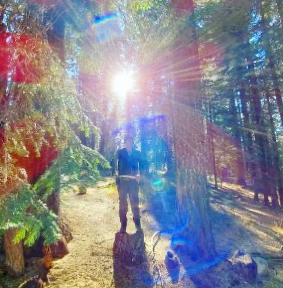 God Being 

( new blog post view on website ) 

You are not becoming God.
You are recognizing you have always been an expression of Source.

💜

Paul of Venus 

- #MtShastaSpiritualTours 
- #PaulOfVenus 
- #VenusianRetreat 
- #EnterThe5thDimension
- 