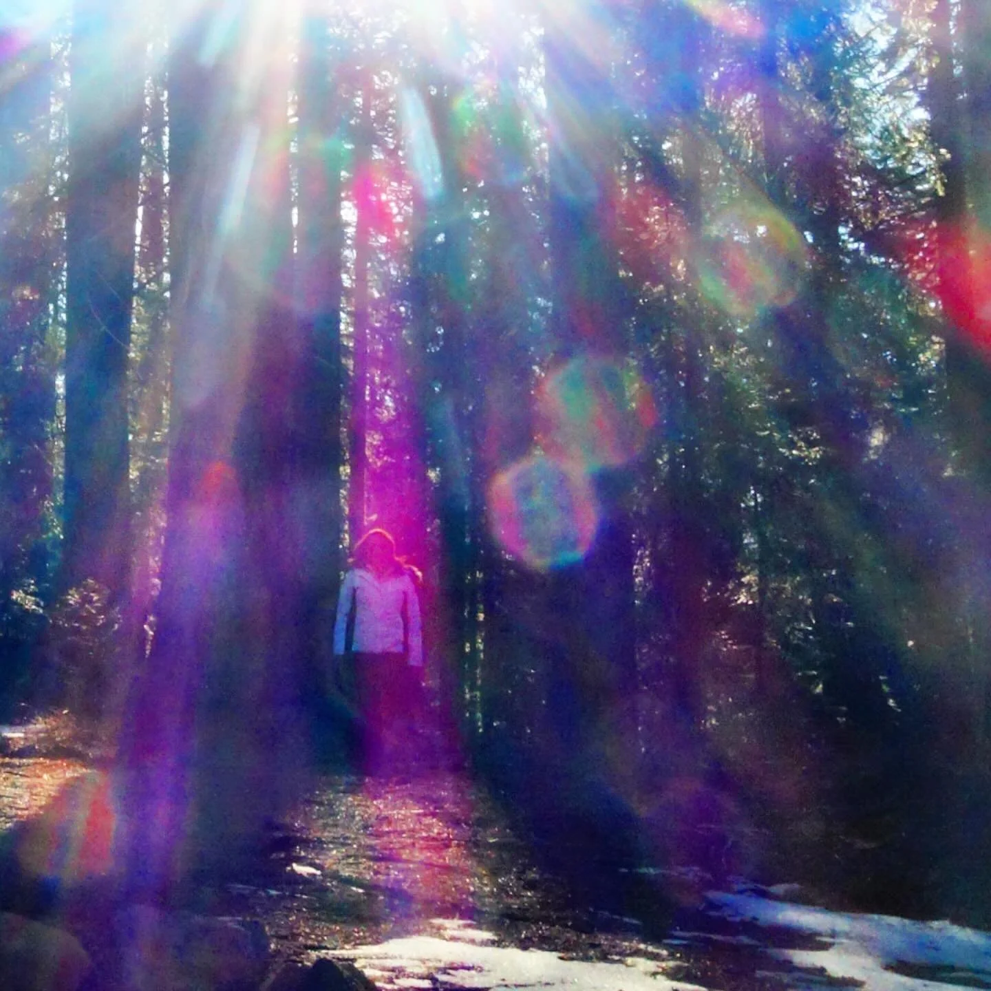 In a 3D world of illusion 
To stand in the Truth 
Is a present 

💜

Paul of Venus 

- #MtShastaSpiritualTours 
- #PaulOfVenus 
- #VenusianRetreat 
- #EnterThe5thDimension
- #MtShasta
- MountShasta
- ShastaVortex
- NorthernCalifornia
- SiskiyouCounty