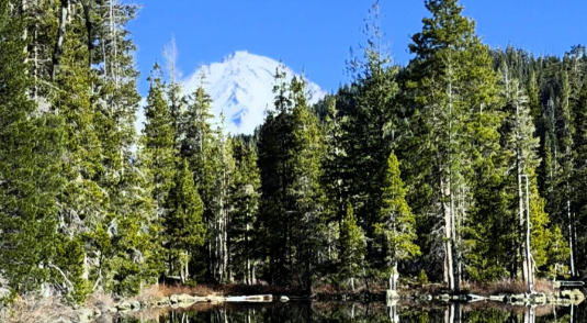 5D Ascension Meditation: Transformative Practices for Higher Consciousness