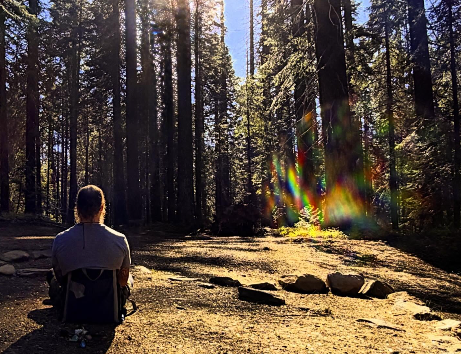 5D Consciousness Course: Guide to Elevating Your Spiritual Journey