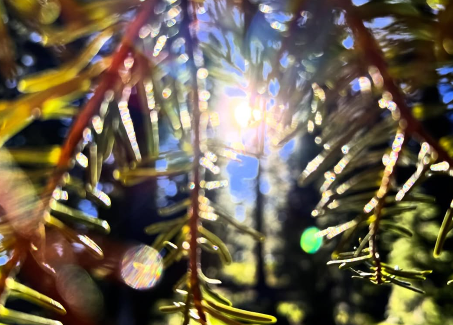 Divine Feminine Retreat: Discover Healing, Wellness &amp; Energy