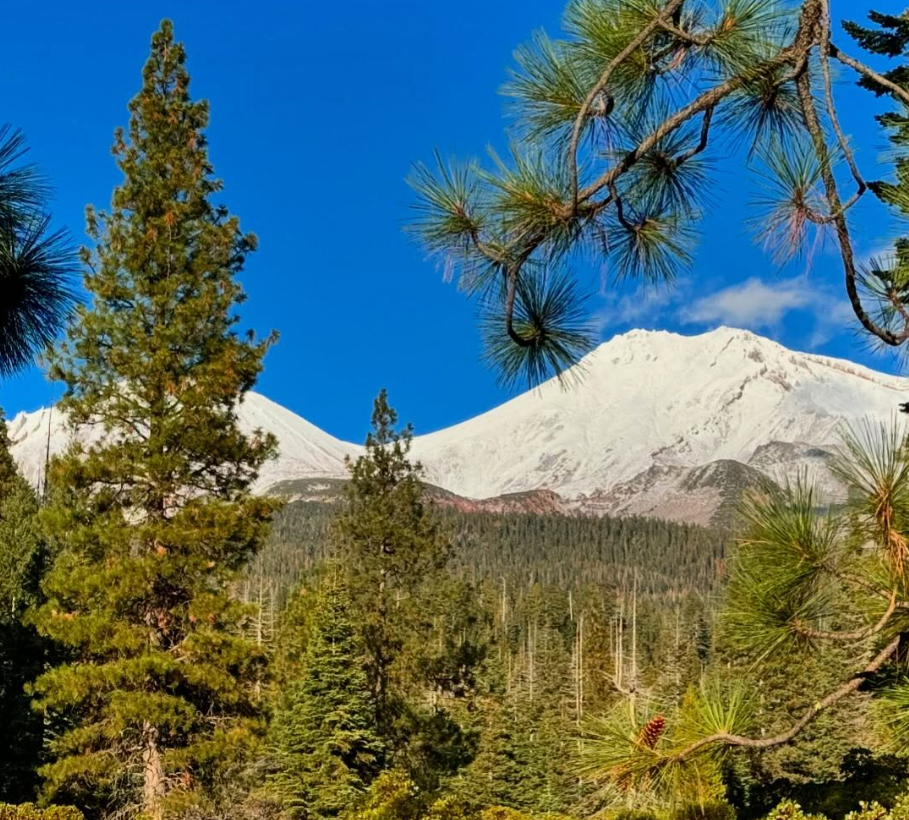 Mt Shasta Retreats: Your Guide to the Best Healing Escapes