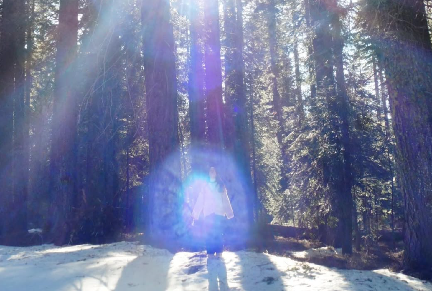 Screenshot 2026-02-16 at 3.48.18 PM.png