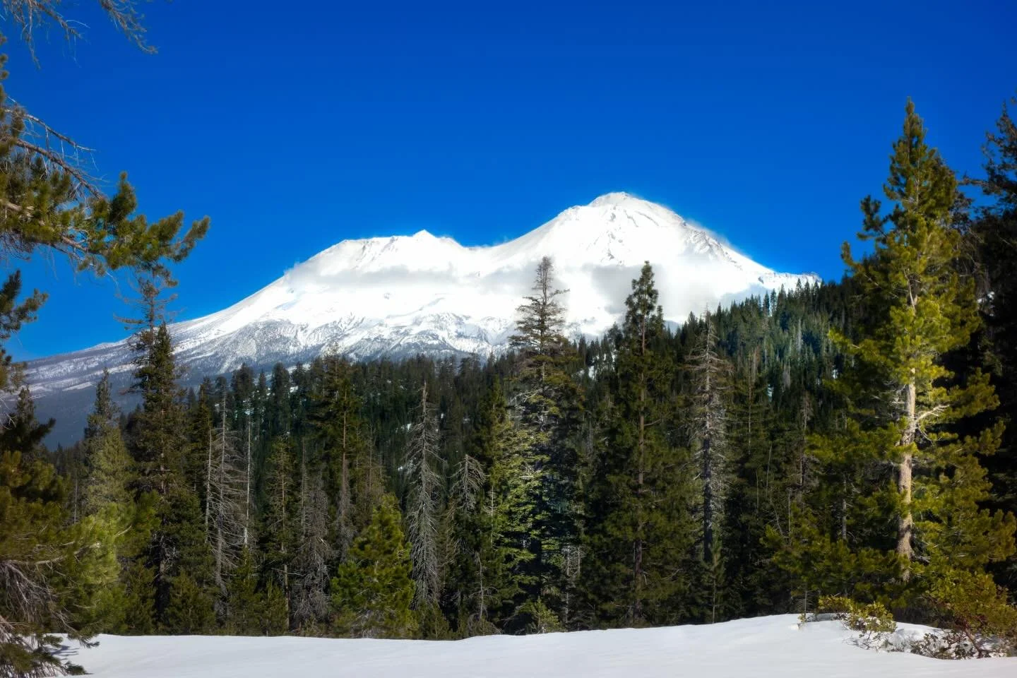 I am invisible 

When I talk 
You can&rsquo;t hear 

When I touch you 
You don&rsquo;t feel 

We are the Angels 
That love you 

💜

Paul of Venus 

#MtShastaSpiritualTours

#MtShastaRetreat

#MtShastaGuide

#MtShastaVortex

#SpiritualRetreatMtShasta