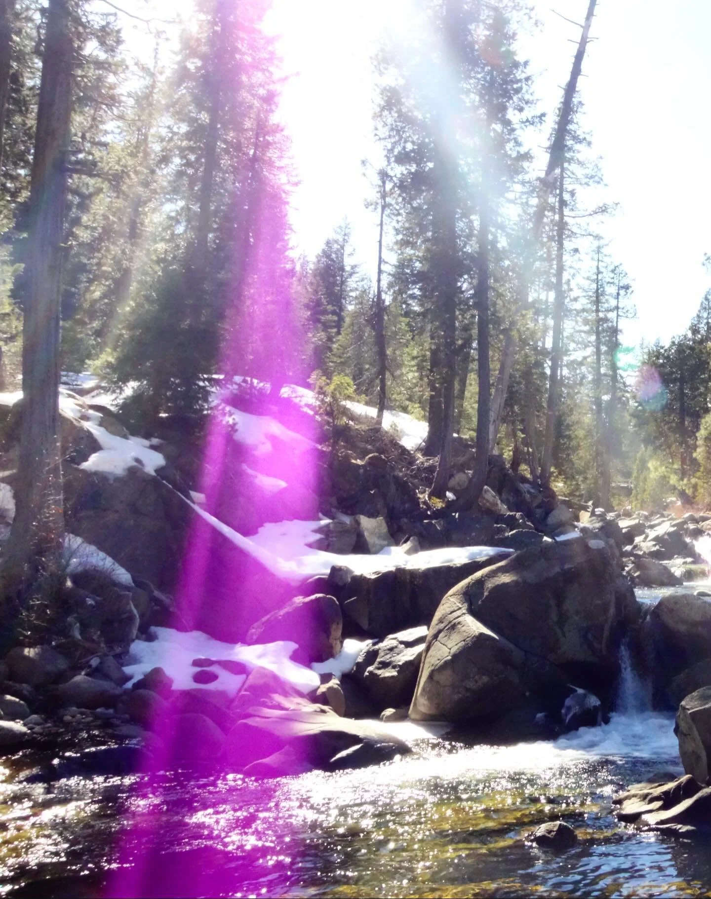 The Violet Ray of Ascended Master Saint Germain 
His magic presence | the invisible is what is eternal 

💜

Paul of Venus 

#MtShastaSpiritualTours

#MtShastaRetreat

#MtShastaGuide

#MtShastaVortex

#SpiritualRetreatMtShasta

MtShastaTourGuide

MtS