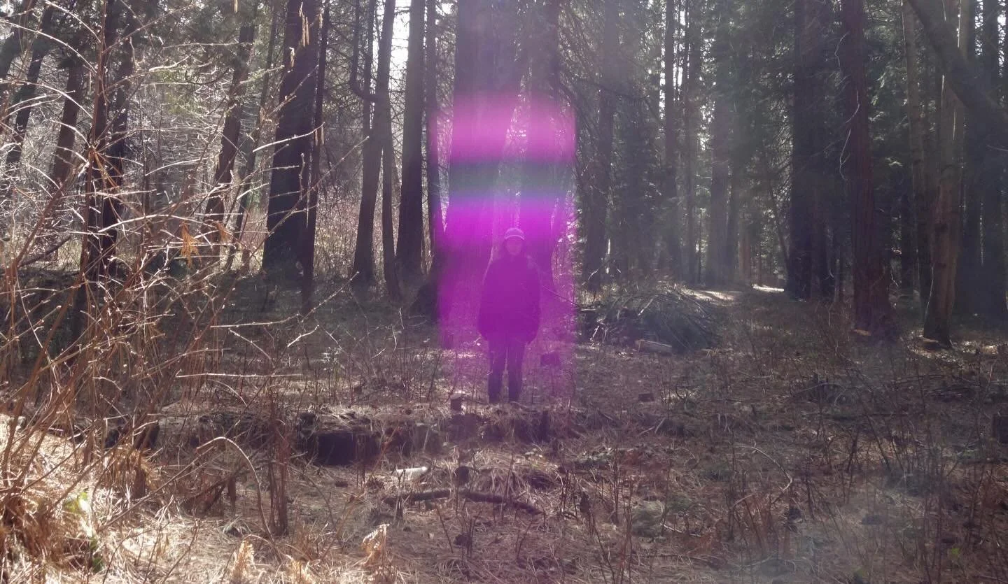 We come to Earth to forgive everything into love

💜

Paul of Venus 

#MtShastaSpiritualTours

#starseed 

#MtShastaGuide

#MtShastaVortex
#lightworker