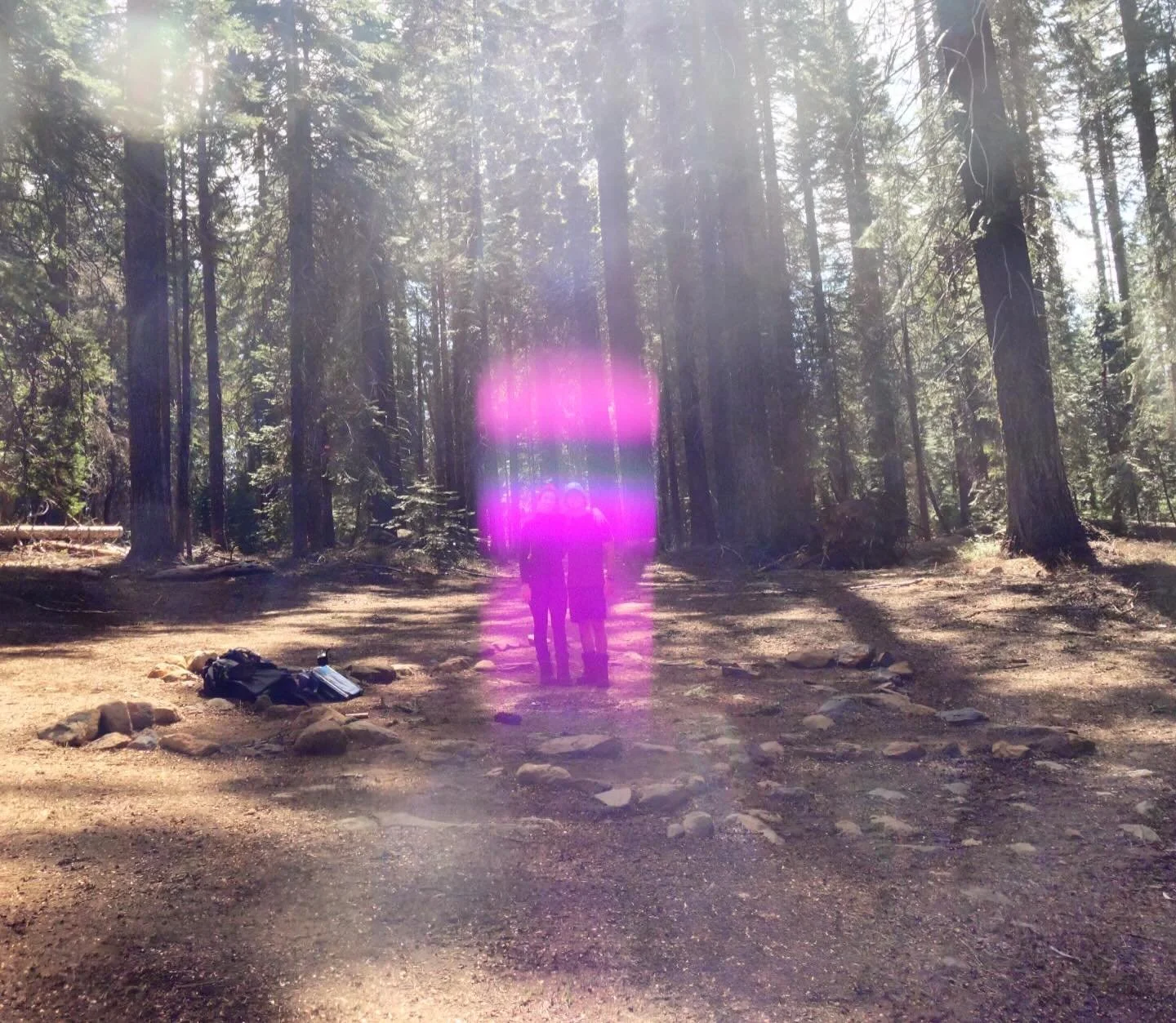 When we open our hearts | we enter tenderness | this is one of the keys to the door | into freedom 

💜

Paul of Venus 

- #Spirituality 
- #Meditation
-  #lightworker
- #starseed