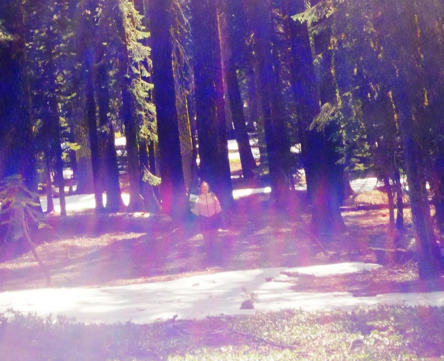 Can you feel the rainbow body activation taking place within you 

💜

Paul of Venus 

- #Spirituality 
- #Meditation
-  #lightworker
- #starseed