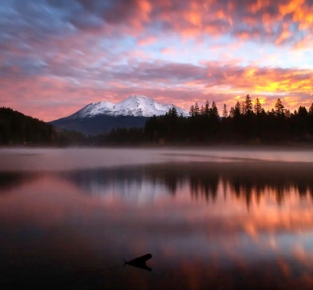 White Mountain of Love 
 You hold all dimensions 
In the oneness 

💜

Paul of Venus 

#MtShastaSpiritualTours

#MtShastaRetreat

#MtShastaGuide

#MtShastaVortex

#SpiritualRetreatMtShasta

MtShastaTourGuide

MtShastaHealing

MountShastaActivation

M