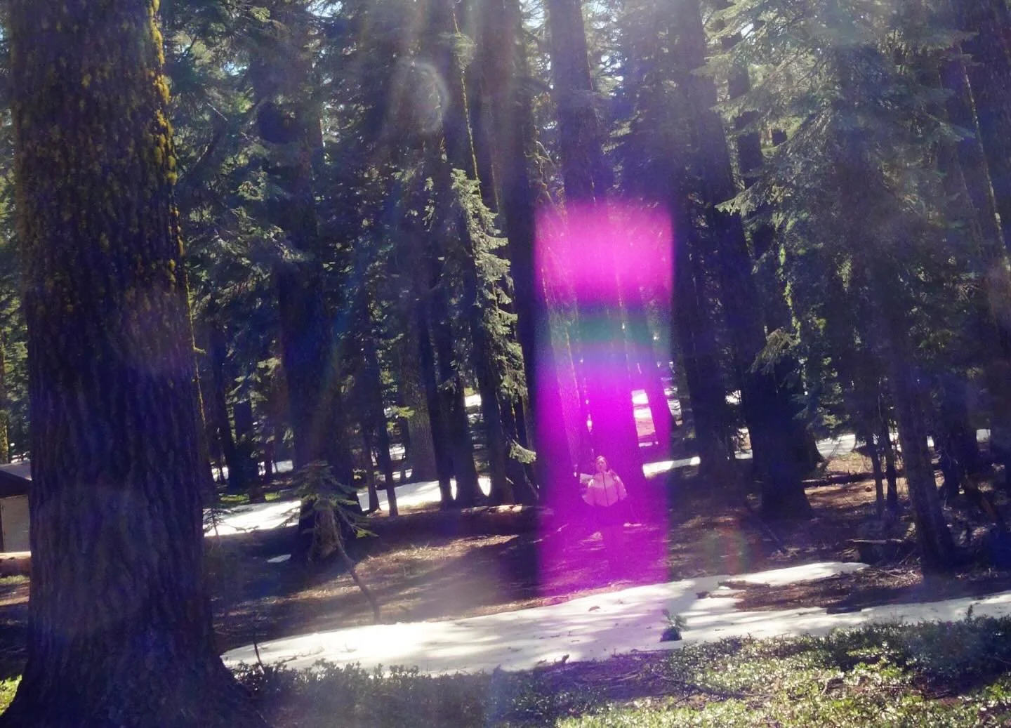 We are in a light war 
On Earth 
The light you come from 
Is only love 

Use the Violet Ray of Forgiveness today 
💜

Paul of Venus 

- #Spirituality 
- #Meditation
-  #lightworker
- #starseed