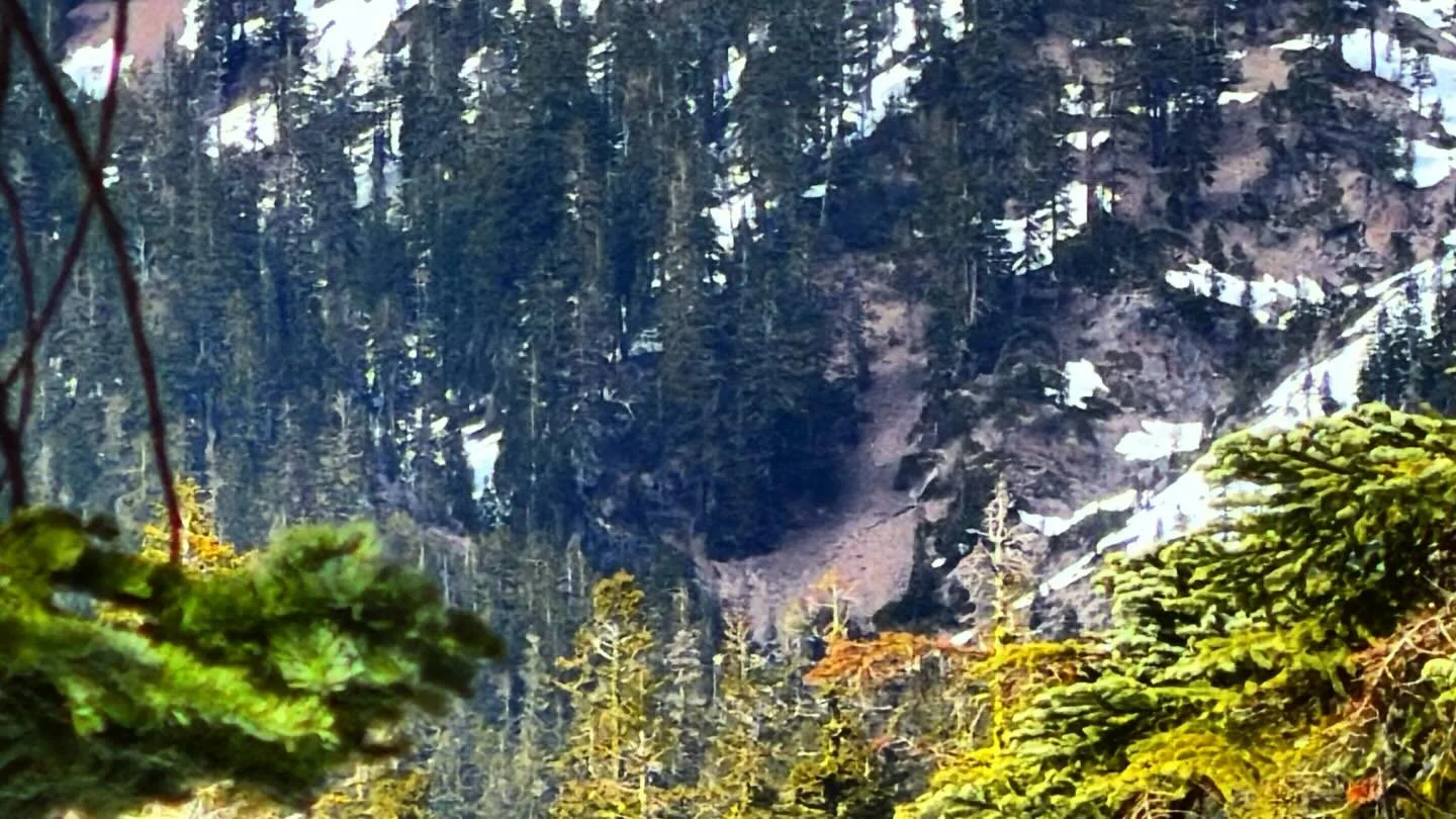 Moving Thru Mt Shasta I came across this Cave 
I had never seen today. I wonder if it will be here today 
 As I go to enter 

Sending love from Mt Shasta 

💜

Paul of Venus 

- #Spirituality 
- #Meditation
-  #lightworker
- #starseed