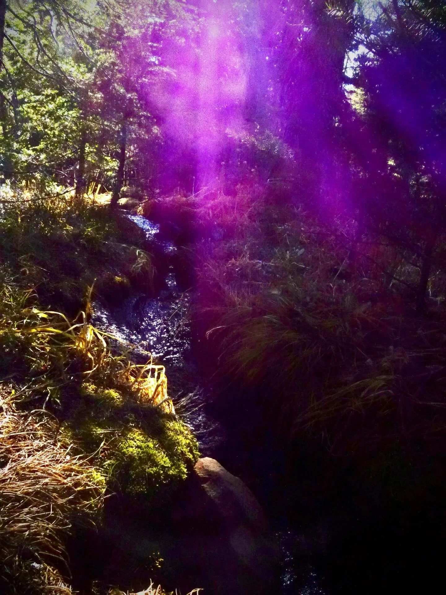 Saint Germain is my brother in missions 
Join me for the Saint Germain Retreat 
May 28-31 
Follow the Violet Ray to book 

💜

Paul of Venus 

- #Spirituality 
- #Meditation
-  #lightworker
- #starseed