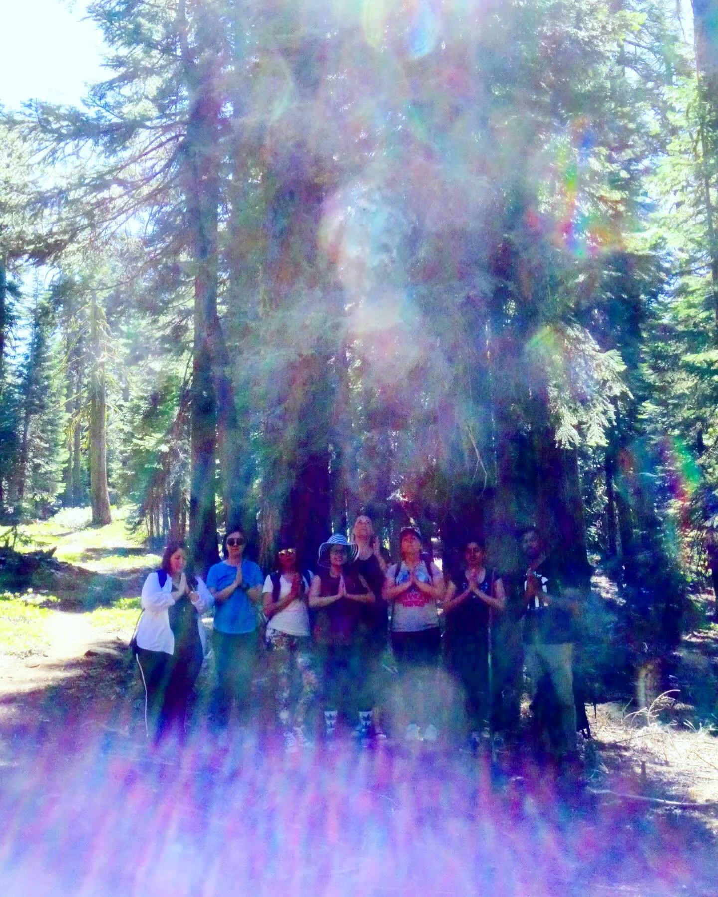 In the realms of light 
Of truth 
Only love exists 

All other things are not real 

💜

Paul of Venus 

- #Spirituality 
- #Meditation
-  #lightworker
- #starseed