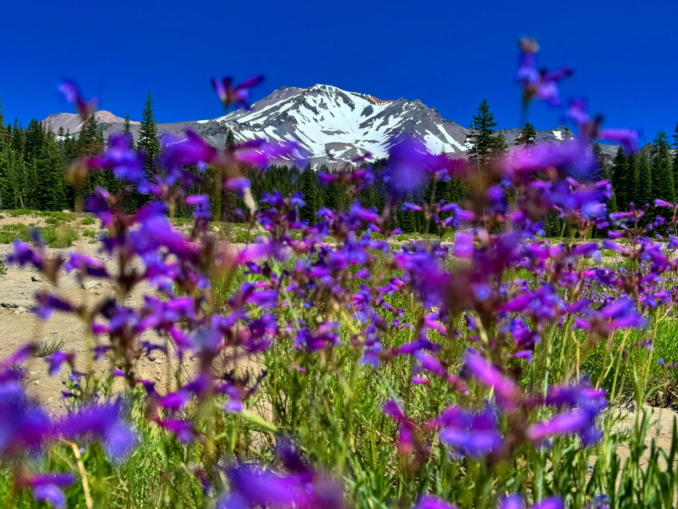 Eden Earth - The Arrival That Has Always Been