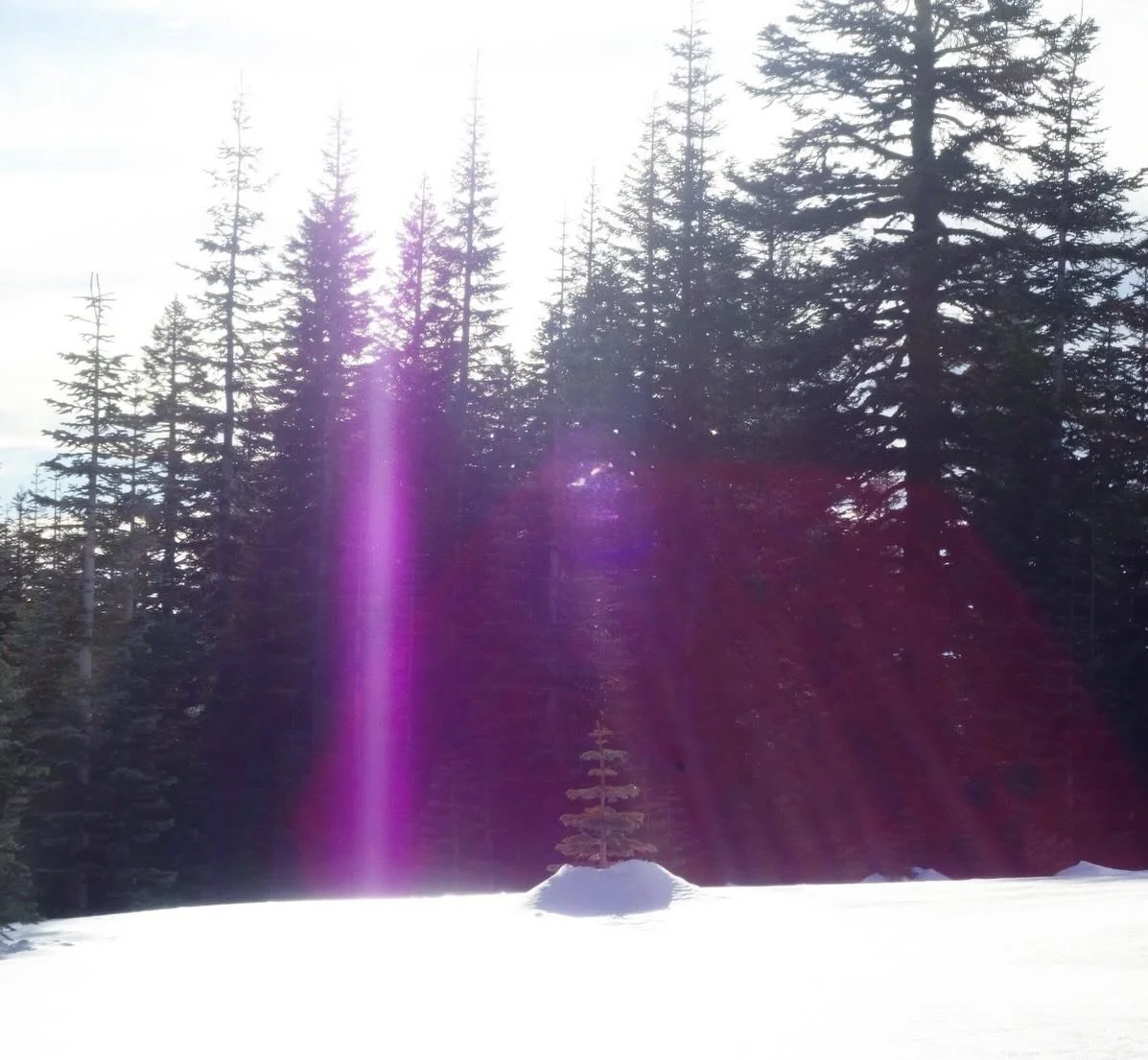 The Presence 

💜

Paul of Venus

- #Spirituality 
- #Meditation
-  #lightworker
- #starseed